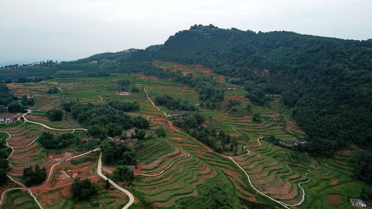天生活数十年 泸州会龙村如今依靠土地信托挣钱
