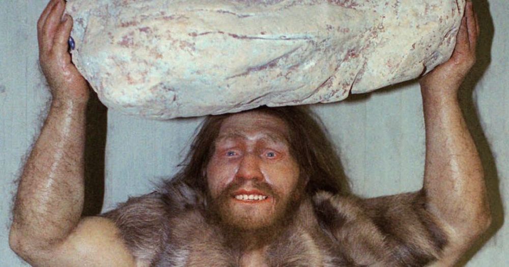 中国人的祖先究竟是谁?从基因看不是北京猿人