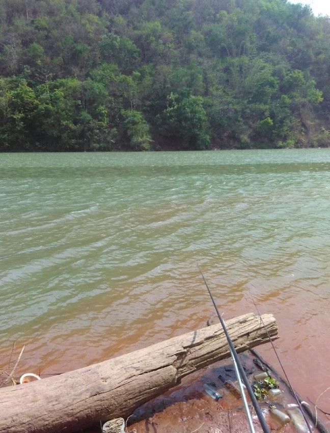 深水钓位和浅水钓位哪个比较藏鱼 照我这样选 深水浅水都能连竿 腾讯新闻