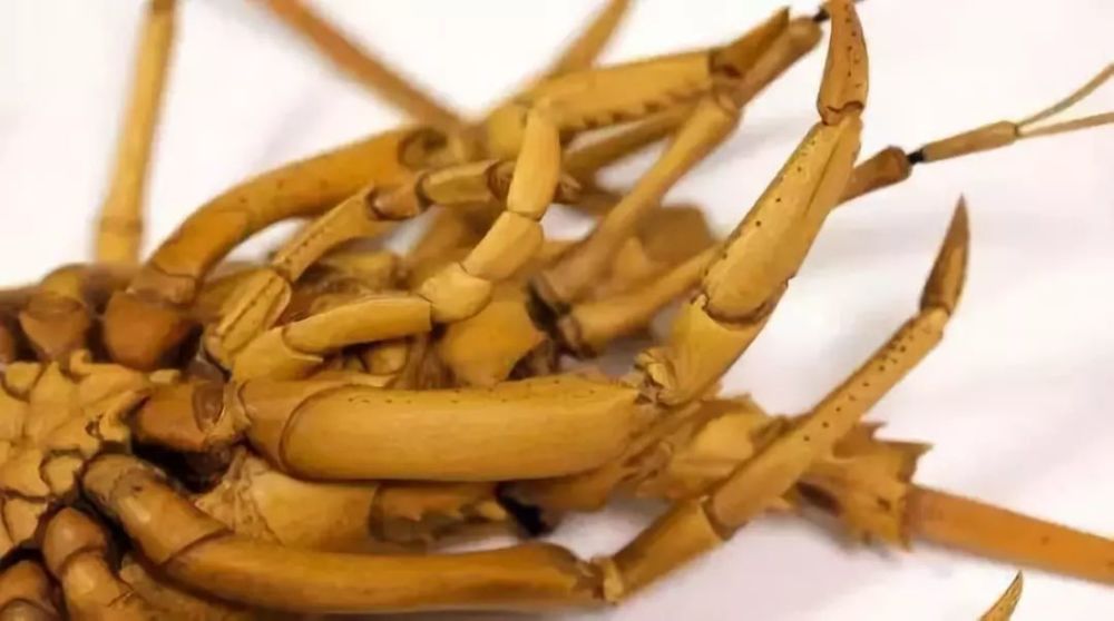 大竹亮峯|80后小哥雕出“活”龙虾，刀工变态、难辨真假，还原度100％！