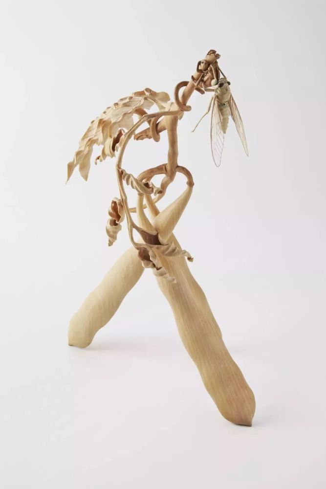 大竹亮峯|80后小哥雕出“活”龙虾，刀工变态、难辨真假，还原度100％！