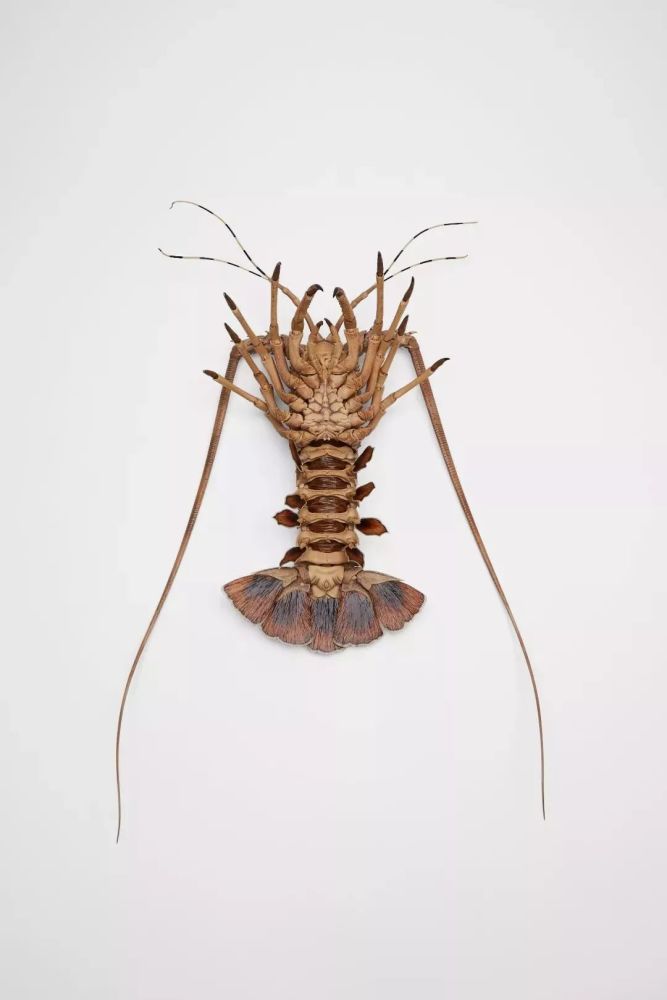 大竹亮峯|80后小哥雕出“活”龙虾，刀工变态、难辨真假，还原度100％！