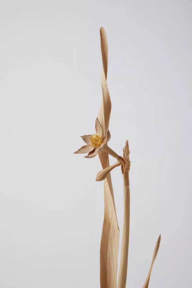 大竹亮峯|80后小哥雕出“活”龙虾，刀工变态、难辨真假，还原度100％！