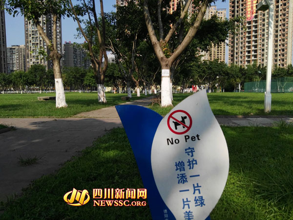 草坪上立下了禁止犬只入内的告示牌