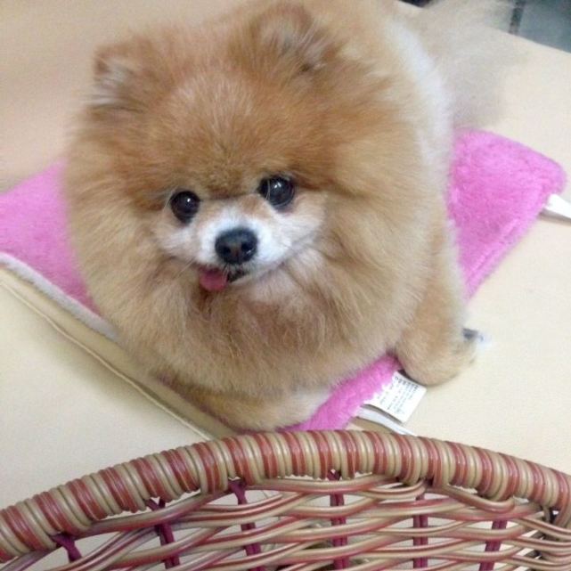 腾讯内容开放平台