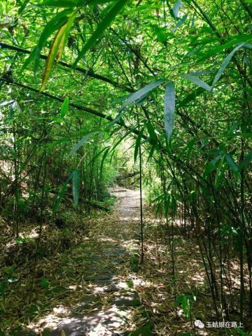 来迎龙峡看玻璃桥、遇见侠客,比武招亲去!