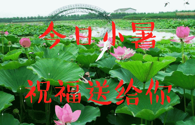 为你洗去烦恼 愿你小暑快乐 消暑一夏 小暑已到,快乐归属 愿从今以后