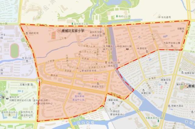 最新！《温州市区小学学区地图（2018）》来了插图3