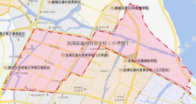 最新！《温州市区小学学区地图（2018）》来了插图14