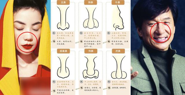 丑却是好面相蒜头鼻在东方人中很是常见,大众的审美偏向于直挺的鼻子