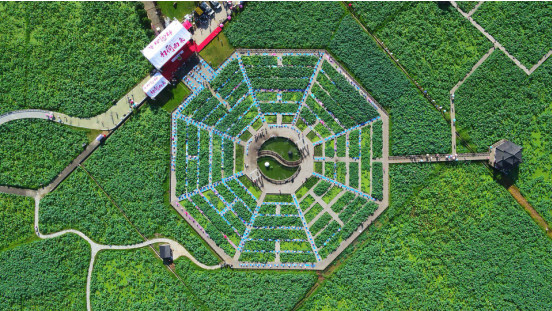 独家航拍闽最大荷花八卦阵目之所及漫野碧一日看尽建莲花