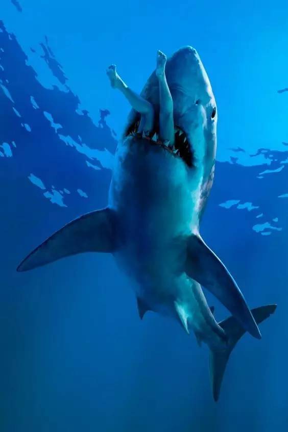 让人震惊的31张照片你见过吗