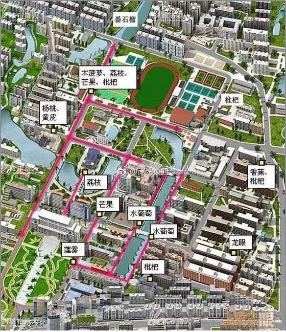 我为什么劝你来广西上大学