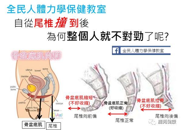 为什么会出现尾骨 尾椎痛 腾讯网