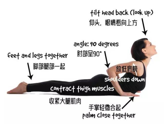 老师 如何上犬式和眼镜蛇式有什么不一样么 腾讯新闻