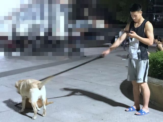 偶遇肌肉男生挂空挡出来遛狗,秒变叮当猫!