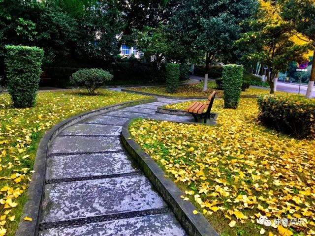 经常用陶笛演奏的好听的曲子推荐之⑤-阿爸的