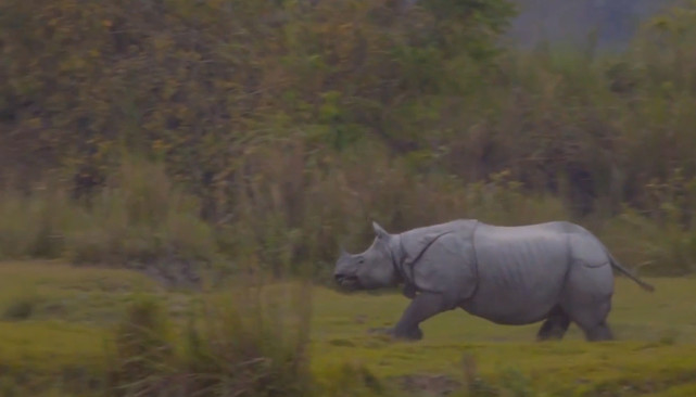 腾讯内容开放平台