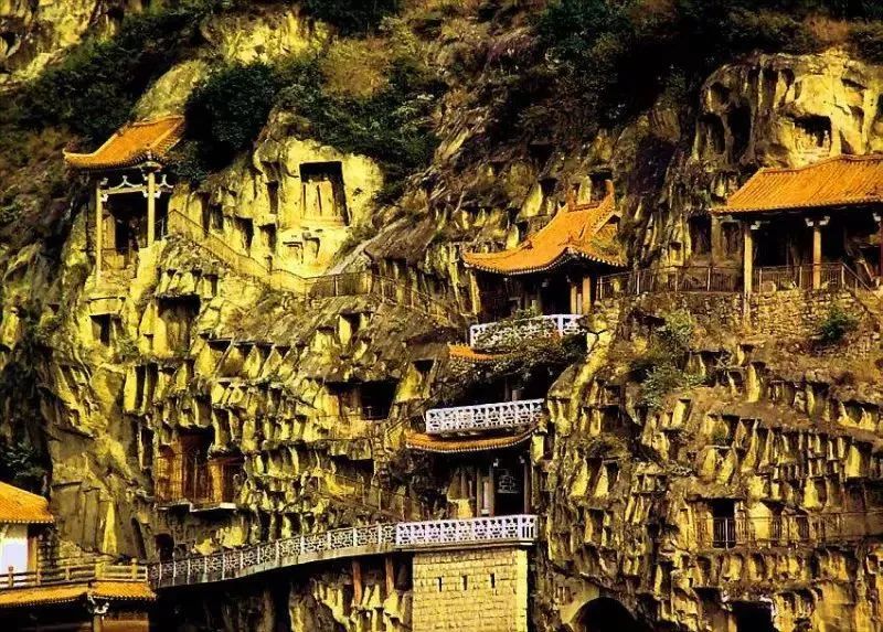 像一只抬头漫步的金凤凰 那么高贵孤傲 难怪有传说 女皇武则天出生时