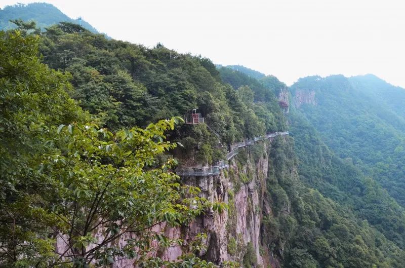 寧波新晉最具人氣鄉村旅遊目的地竟然在奉化這裡!夏日打卡必備!_騰訊