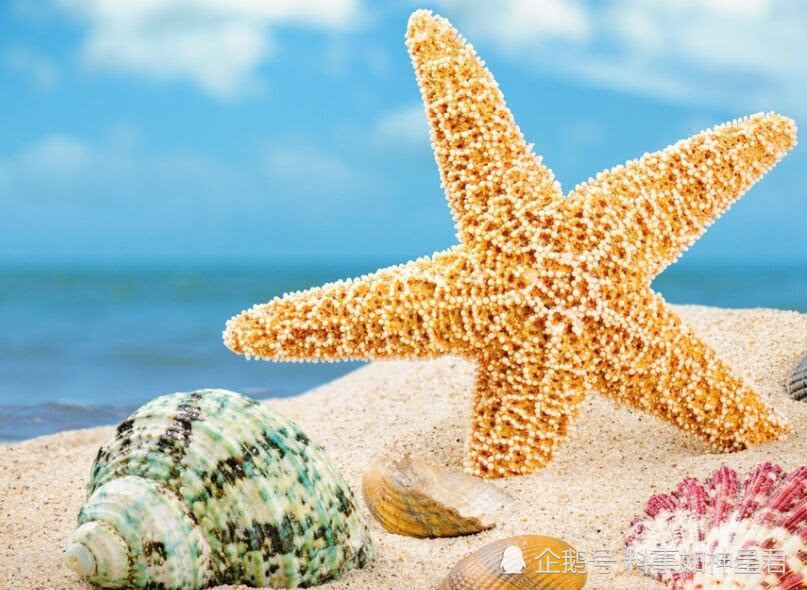 这几日生的人,家里有一个不管男女,赚钱高产量,年年发!