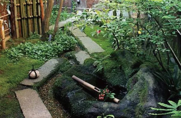 京都坪庭世界上最小的庭院 腾讯新闻