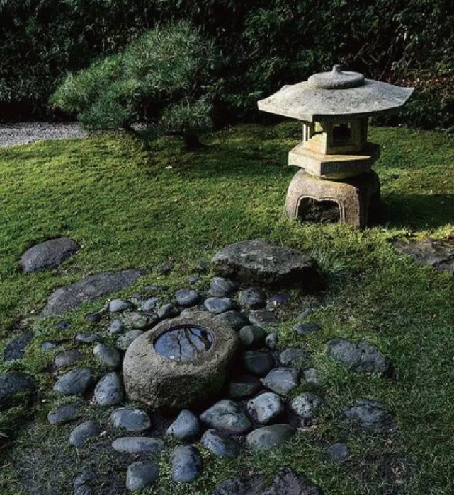 京都坪庭世界上最小的庭院 苔藓 枯山水 园林 庭院 坪庭