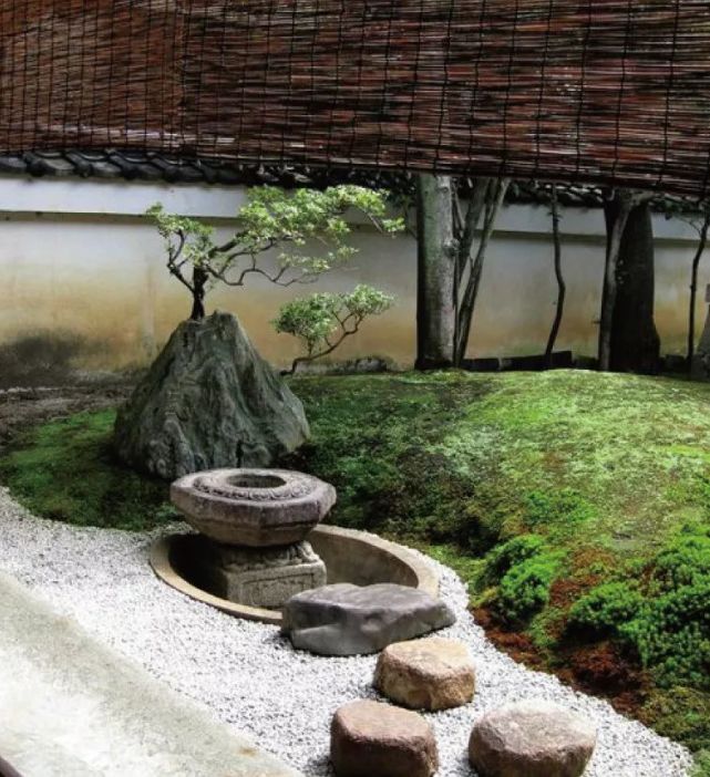 京都坪庭世界上最小的庭院 苔藓 枯山水 园林 庭院 坪庭