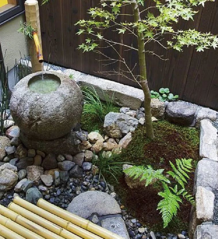 京都坪庭世界上最小的庭院 腾讯新闻