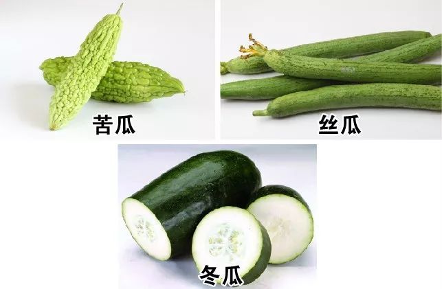 初伏|今日入伏！北京头伏有啥讲究