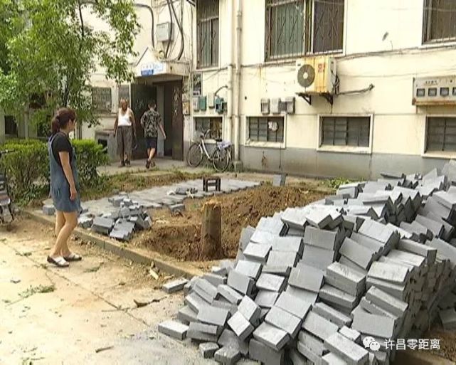 许昌一小区绿化带被私改成停车位居民不同意 