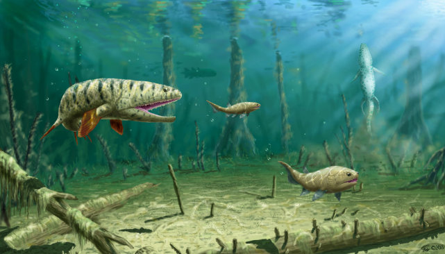 海洋中的古代生物原来是渐渐学会游泳的