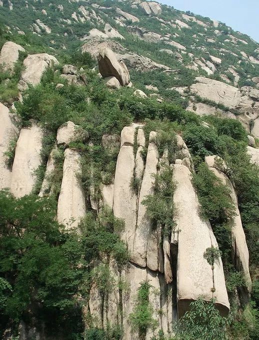 北京|就在京城近旁！这个充满原始风光野性美的乐园，享有京城“绿肺”之称！