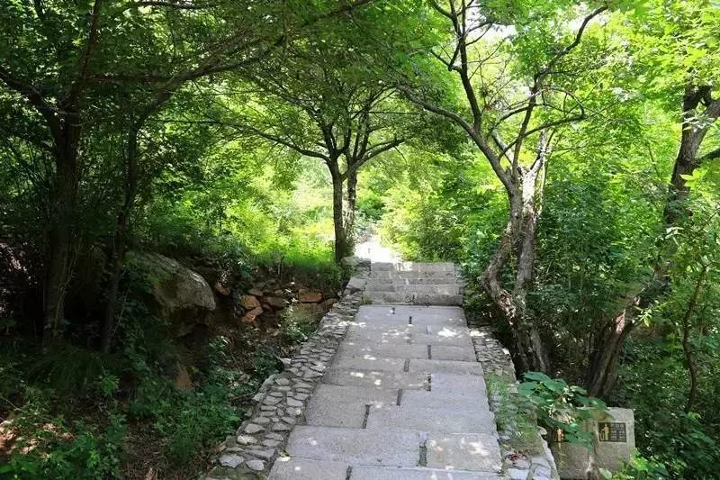 北京|就在京城近旁！这个充满原始风光野性美的乐园，享有京城“绿肺”之称！