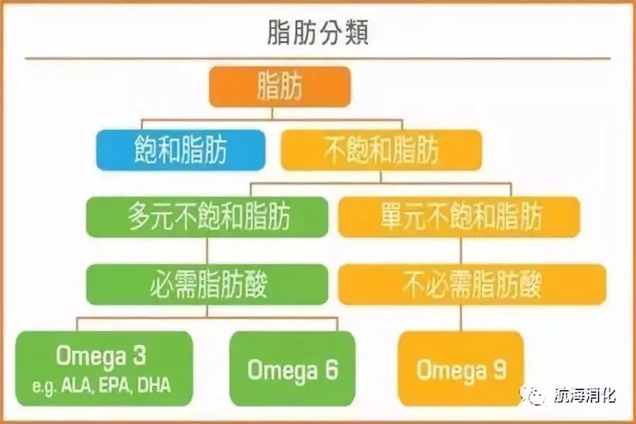 肠息肉|预防肠息肉，这里有份超全食谱！