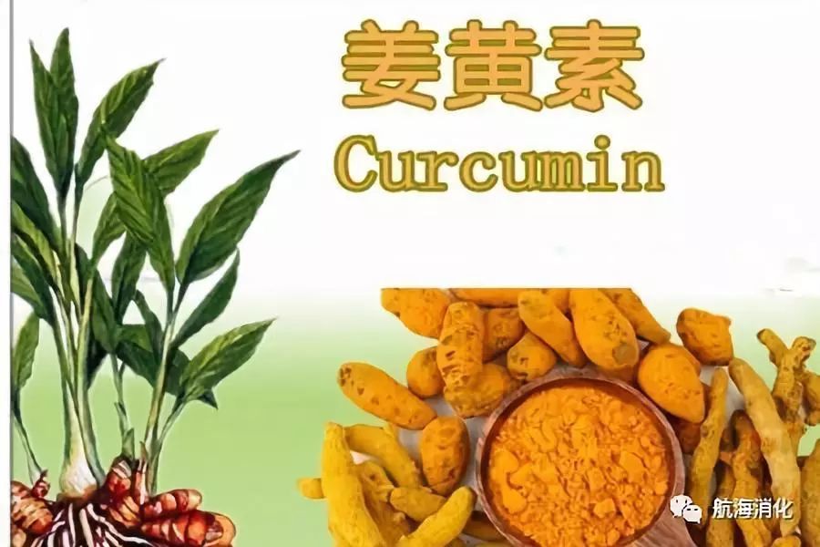 肠息肉|预防肠息肉，这里有份超全食谱！