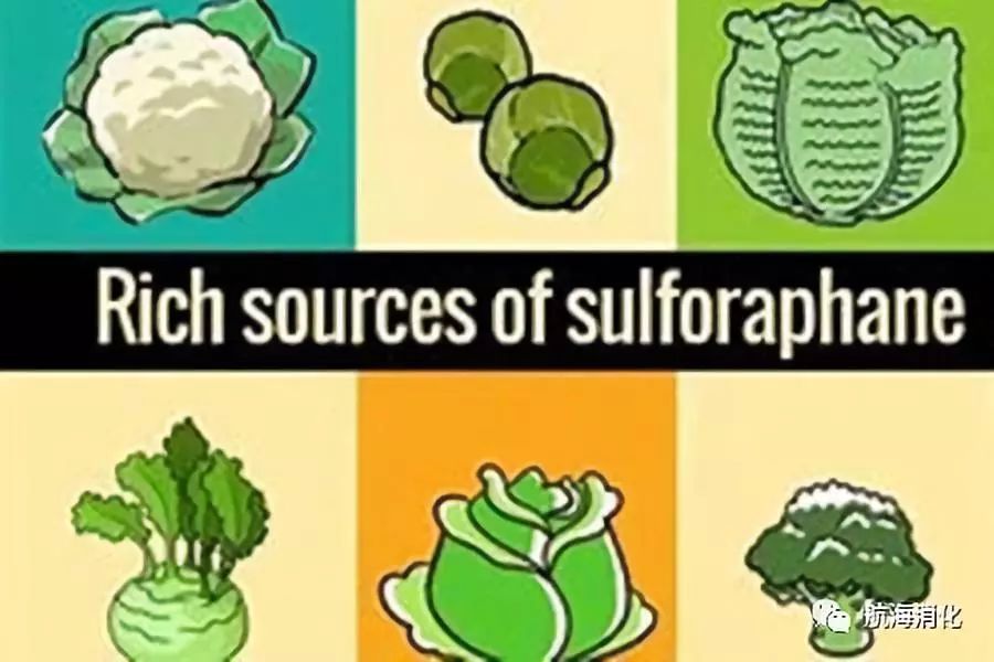 肠息肉|预防肠息肉，这里有份超全食谱！