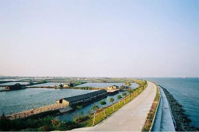 交通地址:廣州市番禺區海鷗島石樓鎮廣州這座城市,夾雜了太多情緒