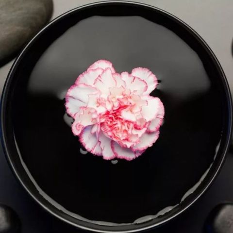 超有意思的看表情猜成语,真不简单!看看你能猜