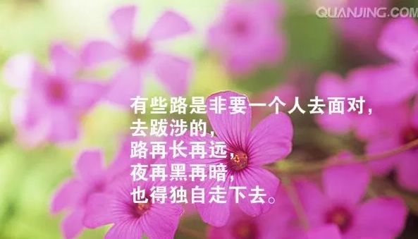 正月初六適合發朋友圈的簡短唯美說說暖心句子