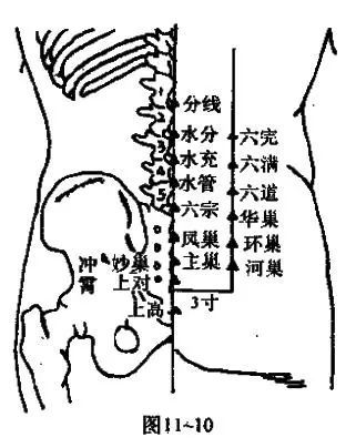 董氏奇穴(纯干货建议收藏)
