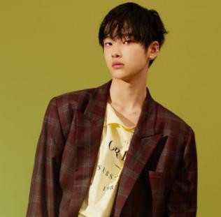 哇唧唧哇旗下艺人有哪些他们发展得怎样呢