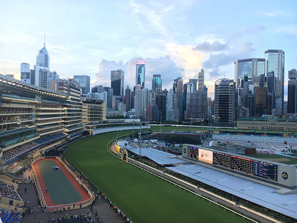 每周三晚上，香港跑马地马场都会迎来众多“马迷”和观光客。澎湃新闻记者 李闻莺 图