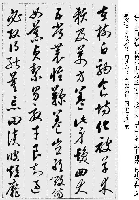 启功|启功草书千字文，其灵动飞扬，是件难得的精品