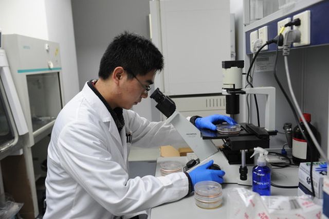 中山大学肿瘤防治中心研究人员在进行抗癌药物研发（2016年1月19日摄）。新华社发