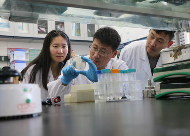 7月13日，中科院合肥物质科学研究院研究员刘青松（中）与同事们在实验室工作。新华社发