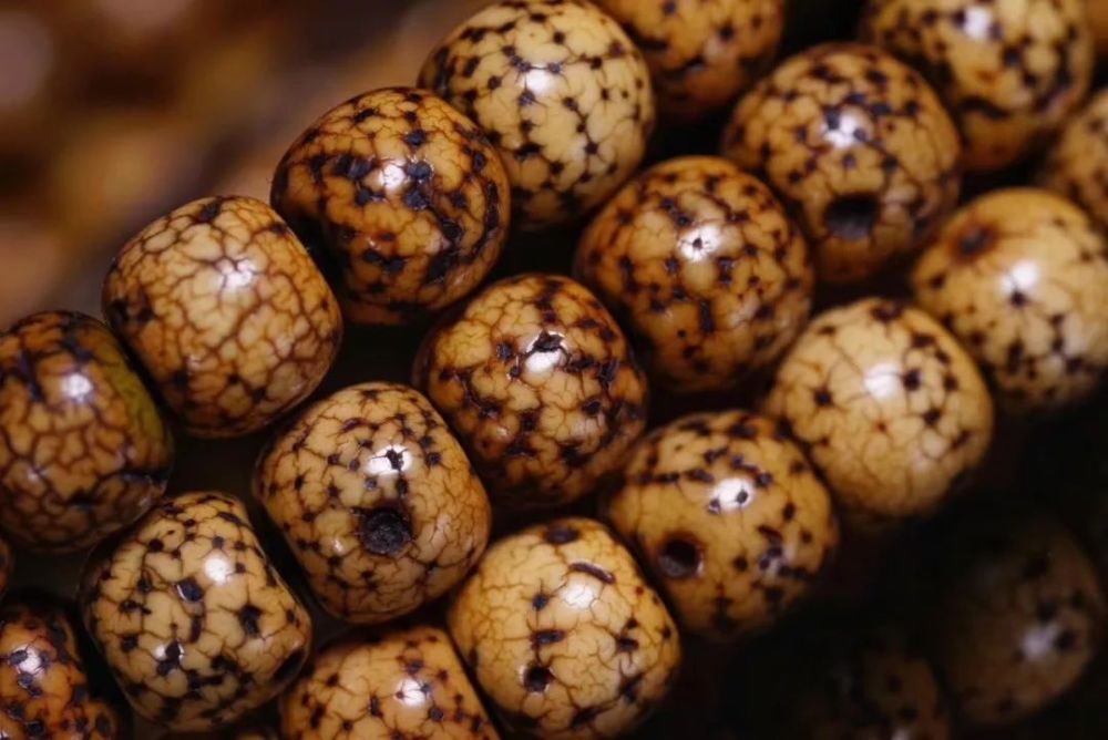 多少年的老星月分分钟都能被你整废!