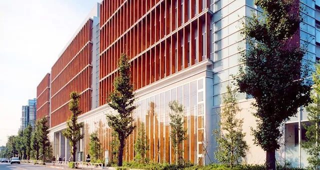 奖学金咋申请?看完让你在语言学校\/大学里面不