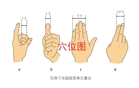 【打工與健康】十二時辰人體經絡流向偱時表