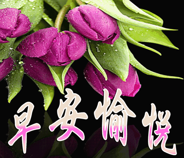 4月4日早上好特漂亮的问候表情动态图片,早安问候语及关心话